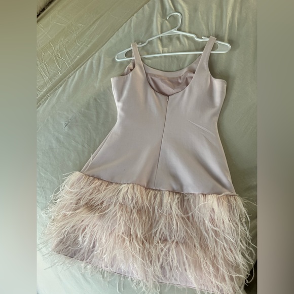 Elizabeth and James Pink Feather Dress💗 - Picture 3 of 3